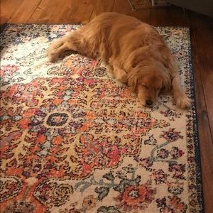 Meet your Posher, Evening